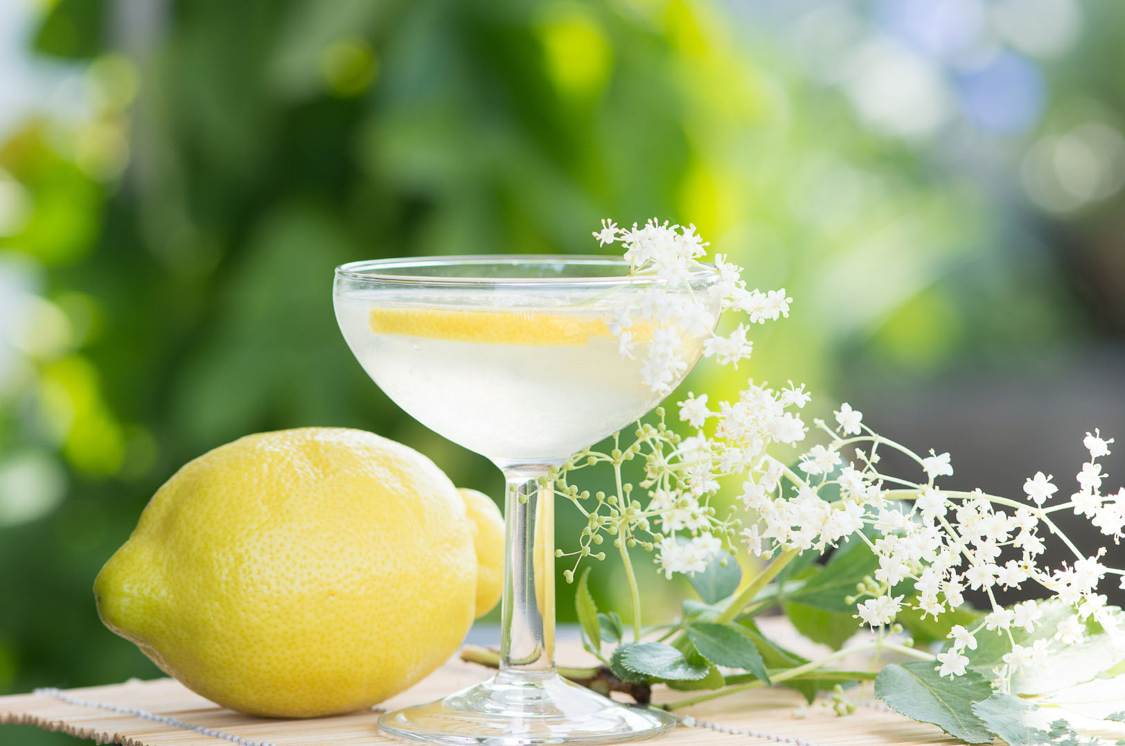 elderflower